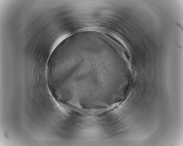 X0000093481050200710261035