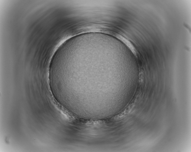 X0000093481051200710261035