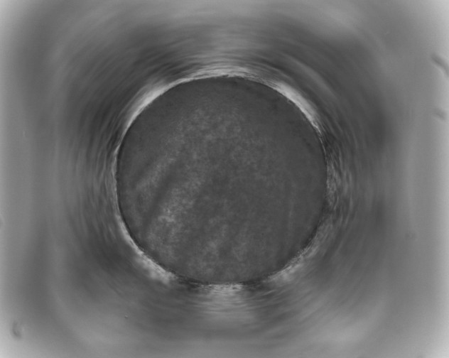 X0000093481055200710261035