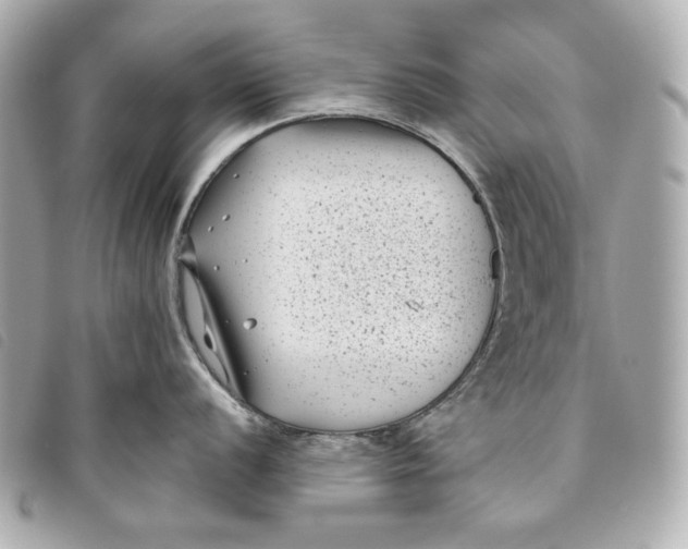 X0000093481056200710261035