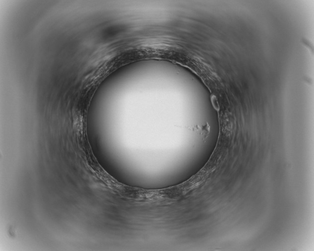 X0000093481061200710261034