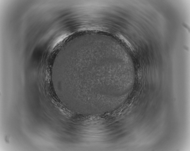 X0000093481064200710261034