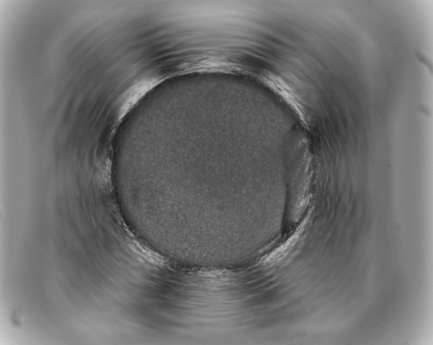 X0000093481066200710261034