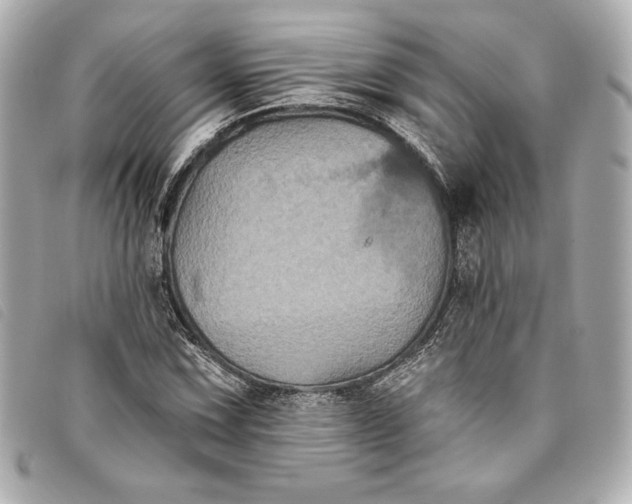 X0000093481067200710261034