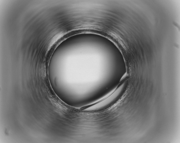 X0000093481069200710261034