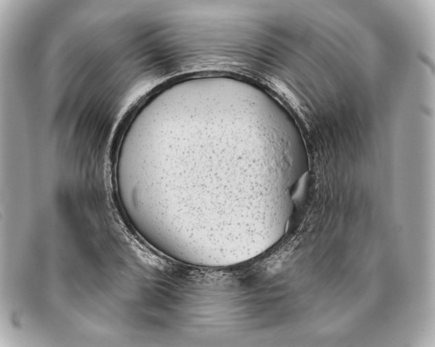 X0000093481072200710261034