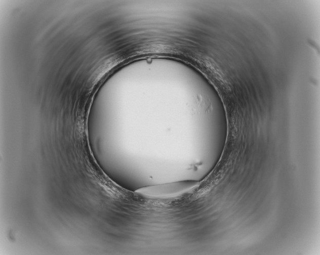 X0000093481073200710261034