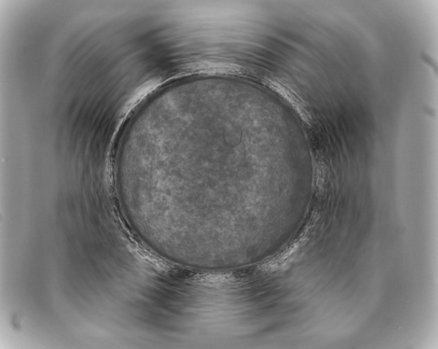 X0000093481074200710261034