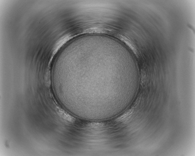 X0000093481075200710261034