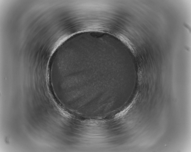 X0000093481077200710261034