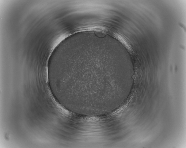 X0000093481079200710261034