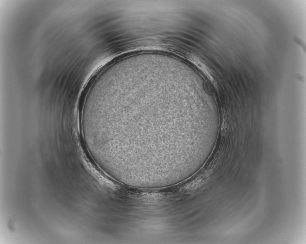 X0000093481080200710261034
