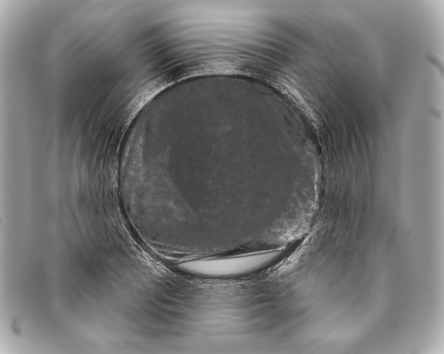 X0000093481081200710261034
