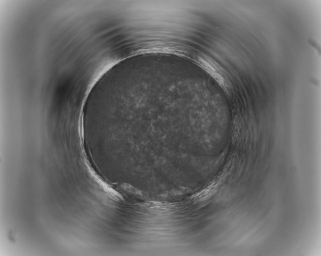X0000093481084200710261034