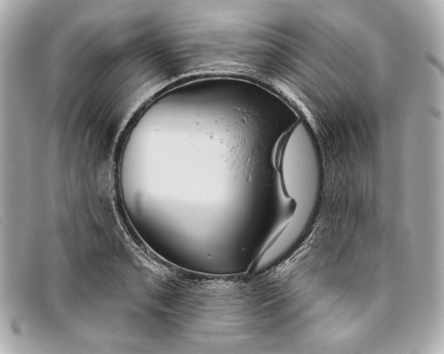 X0000093481085200710261034