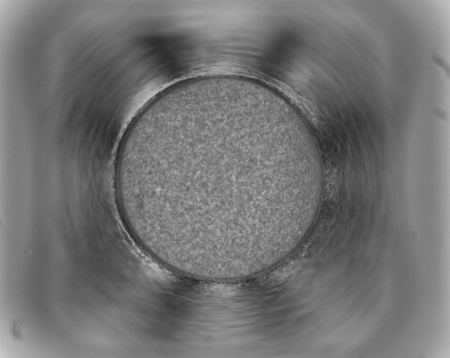 X0000093481086200710261034
