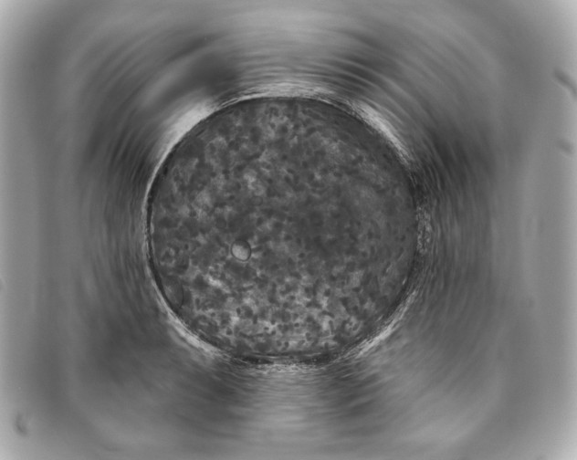 X0000093481087200710261034