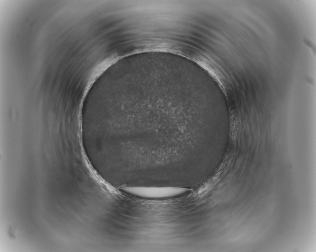 X0000093481088200710261034