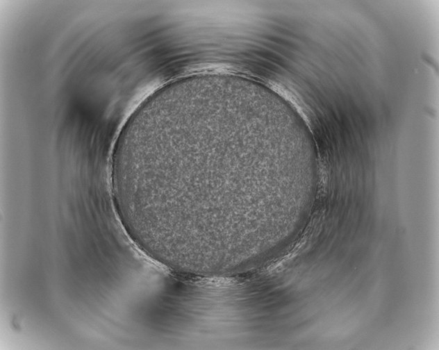 X0000093481090200710261034