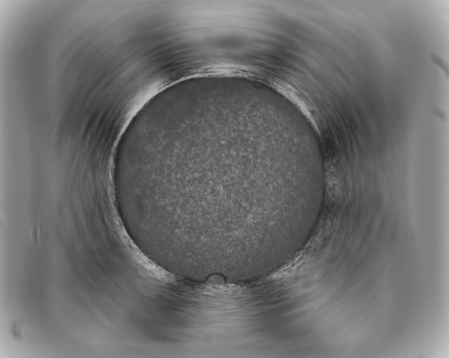 X0000093481091200710261034