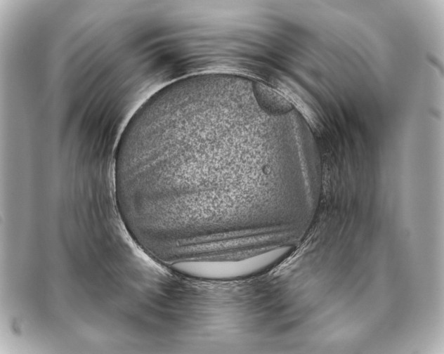 X0000093481092200710261034