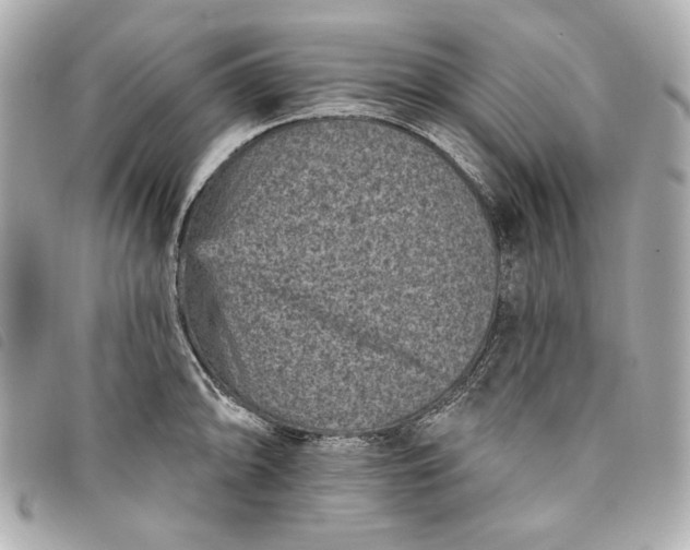 X0000093481094200710261034
