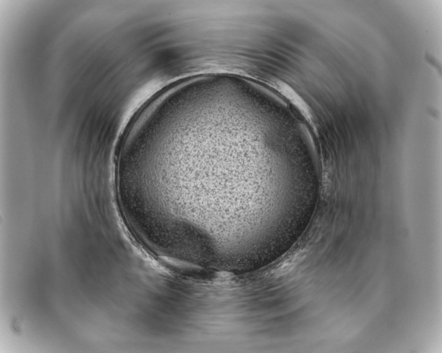 X0000093481096200710261034