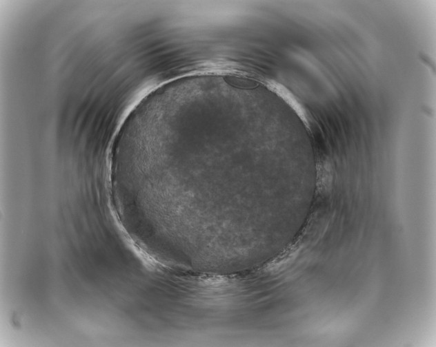 X0000093481099200710261034