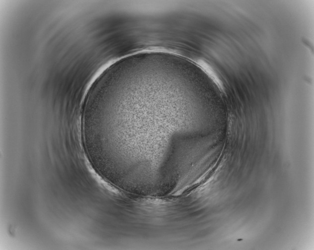 X0000093481100200710261034
