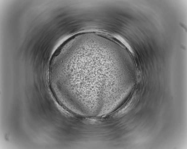 X0000093481101200710261034