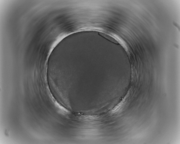 X0000093481102200710261034