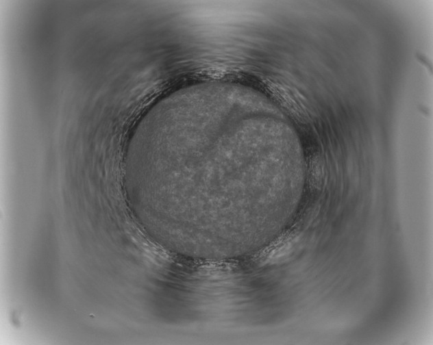 X0000093481105200710261033
