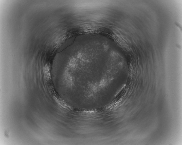 X0000093481106200710261033