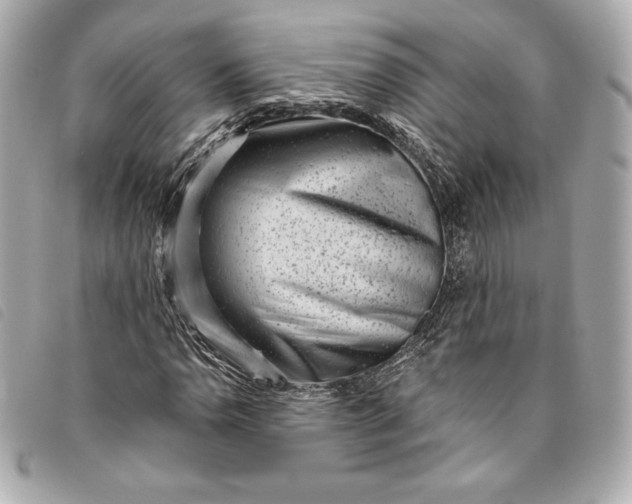 X0000093481110200710261033