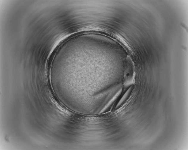 X0000093481116200710261033