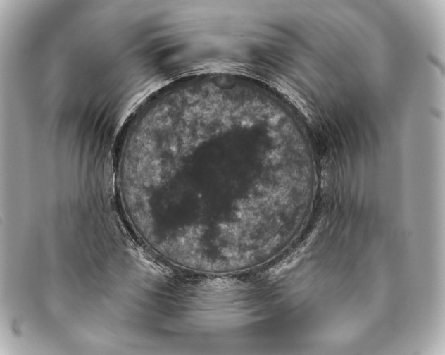 X0000093481117200710261033