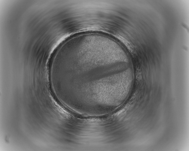 X0000093481118200710261033