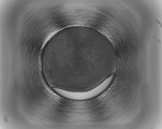 X0000093481120200710261033