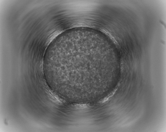 X0000093481121200710261033