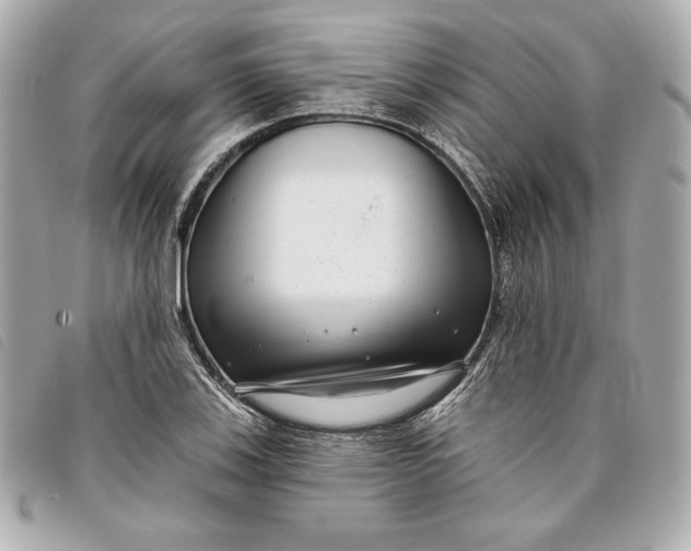 X0000093481123200710261033