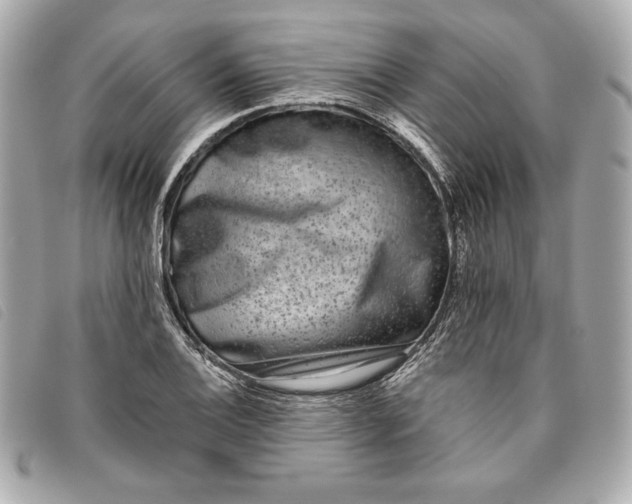 X0000093481124200710261033