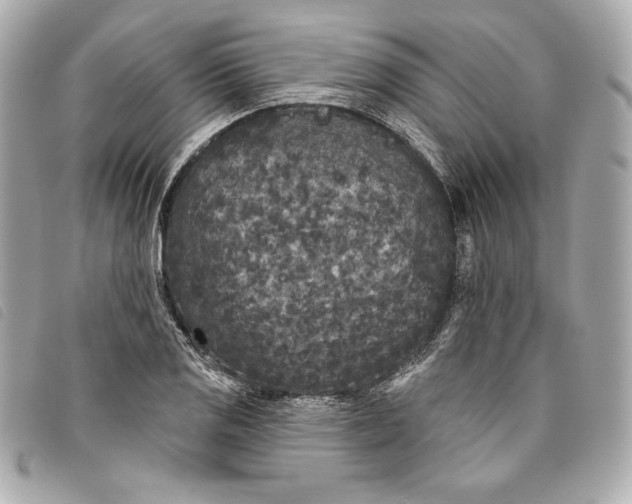 X0000093481125200710261033