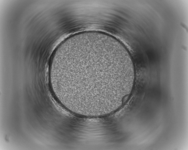 X0000093481126200710261033