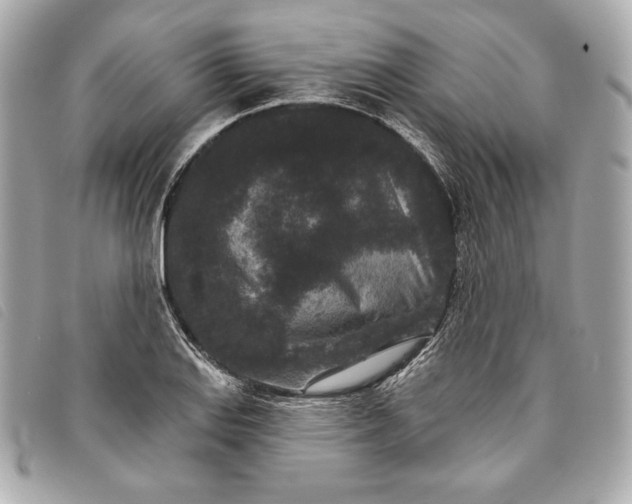 X0000093481127200710261033