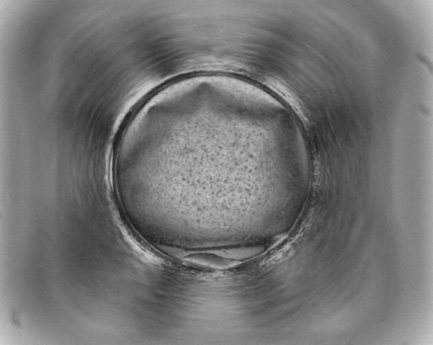 X0000093481128200710261033