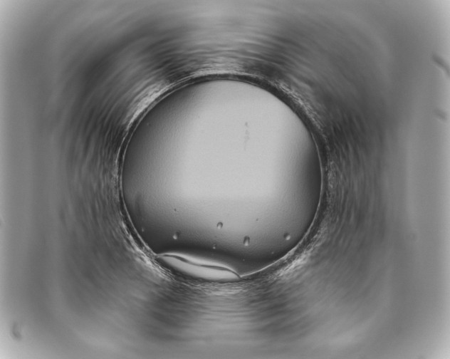 X0000093481129200710261033