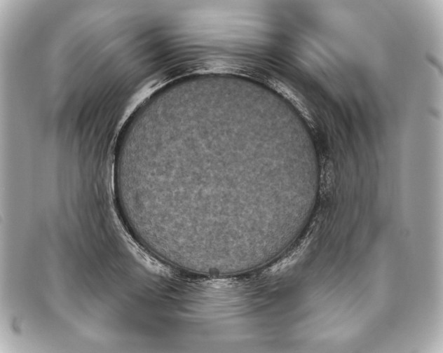 X0000093481130200710261033