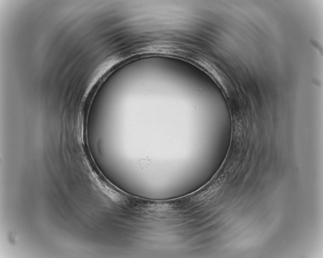 X0000093481131200710261033