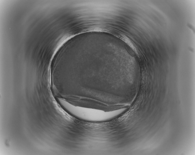X0000093481132200710261033