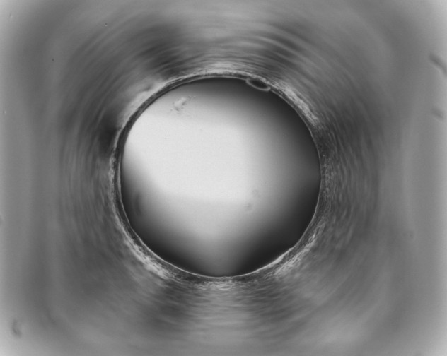 X0000093481134200710261033